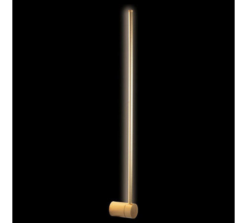Настенный светильник Loft IT Rays 10056GD