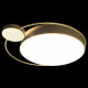 Потолочный светильник Loft IT Mike 10063