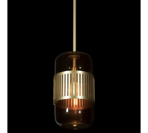 Подвесной светильник Loft IT Hudson 10098P