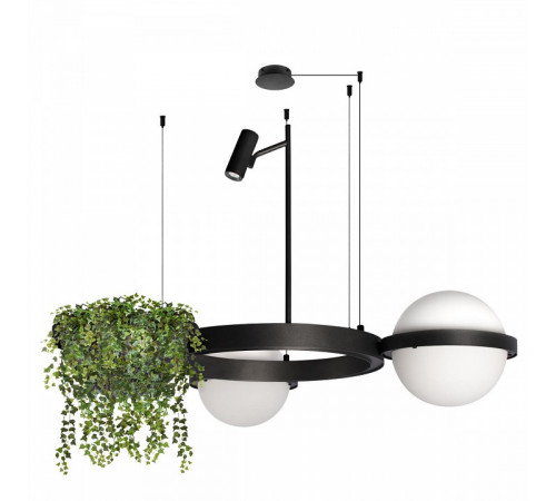 Торшер Loft IT Jardin 10121/F Dark grey Торшер Loft IT Jardin 10121/F Dark grey