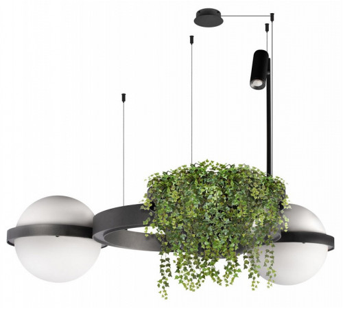 Подвесная люстра Loft IT Jardin 10121/2 Dark grey Подвесная люстра Loft IT Jardin 10121/2 Dark grey