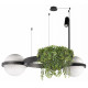 Подвесная люстра Loft IT Jardin 10121/2 Dark grey