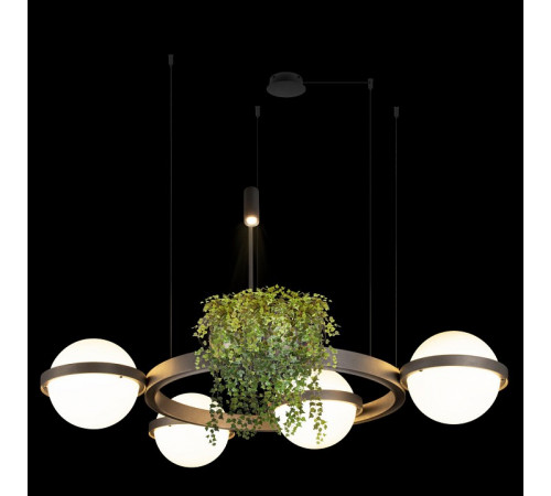 Подвесная люстра Loft IT Jardin 10121/4 Dark grey Подвесная люстра Loft IT Jardin 10121/4 Dark grey