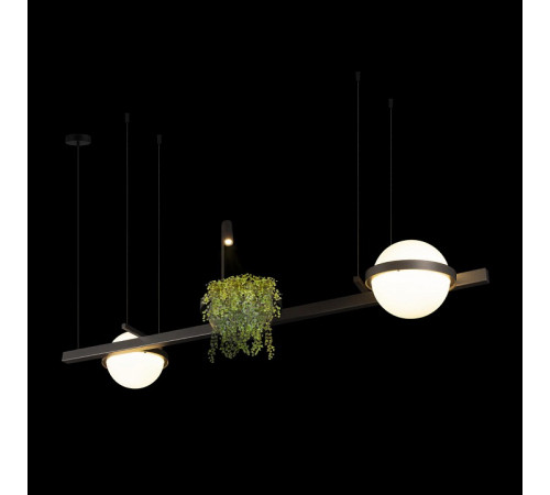 Подвесная люстра Loft IT Jardin 10121/D Dark grey Подвесная люстра Loft IT Jardin 10121/D Dark grey