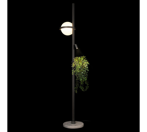 Торшер Loft IT Jardin 10121/F Dark grey Торшер Loft IT Jardin 10121/F Dark grey