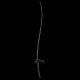 Настенный светильник Loft IT Rays 10154 BK