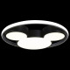 Потолочный светильник Loft IT Mike 10165