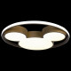 Потолочный светильник Loft IT Mike 10168