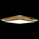 Потолочный светильник Loft IT Mike 10172