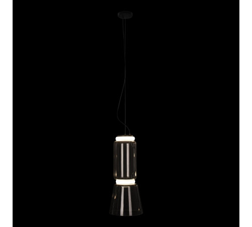 Подвесной светильник Loft IT Noctambule 10193/S