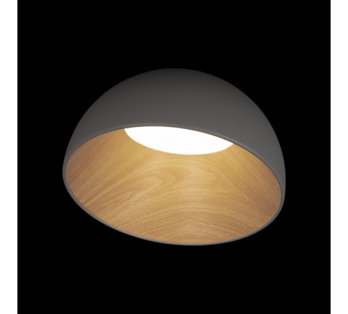 Потолочный светильник Loft IT Egg 10197/350 Grey