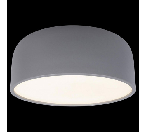 Потолочный светильник Loft IT Axel 10201/350 Grey