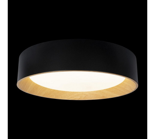 Потолочный светильник Loft IT Coin 10202 Black