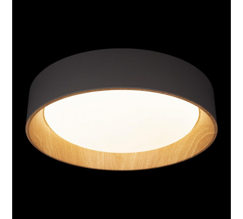 Потолочный светильник Loft IT Coin 10202 Grey