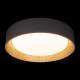Потолочный светильник Loft IT Coin 10202 Grey