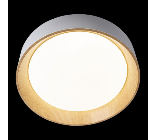 Потолочный светильник Loft IT Coin 10202 White