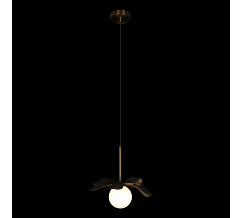 Подвесной светильник Loft IT Monro 10213/A Black Подвесной светильник Loft IT Monro 10213/A Black