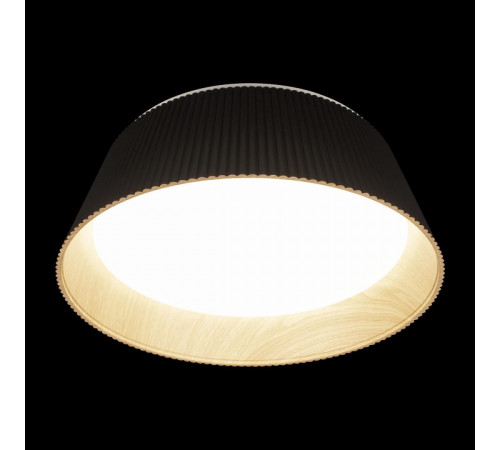 Потолочный светильник Loft IT Evans 10224 Black Потолочный светильник Loft IT Evans 10224 Black