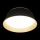 Потолочный светильник Loft IT Evans 10224 Black