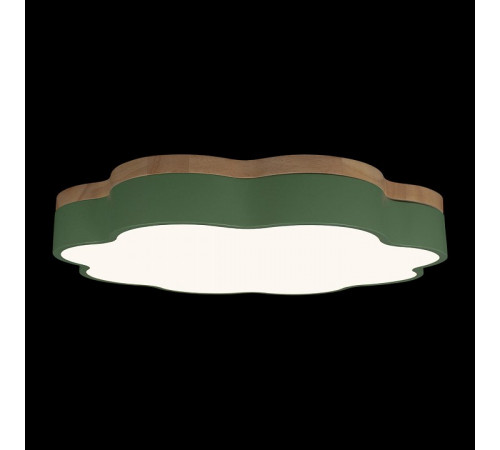 Потолочный светильник Loft IT Axel 10225/36 Green