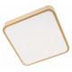 Потолочный светильник Loft IT Flims 10228/C