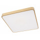 Потолочный светильник Loft IT Flims 10228/D