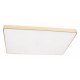 Потолочный светильник Loft IT Flims 10228/E