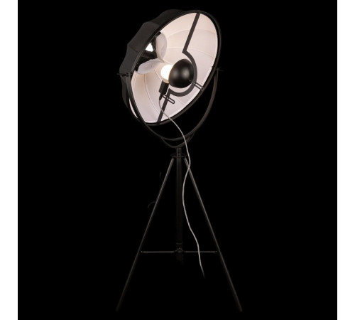 Торшер Loft IT Studio 10301/M Торшер Loft IT Studio 10301/M