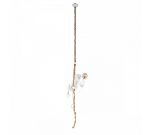 Подвесной светильник Loft IT Monkey 10314P