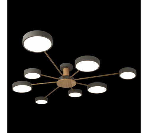 Потолочная люстра Loft IT Sunrise 10316/8 Grey