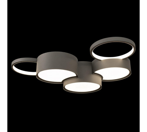 Потолочная люстра Loft IT Pin 10317/5 Grey Потолочная люстра Loft IT Pin 10317/5 Grey