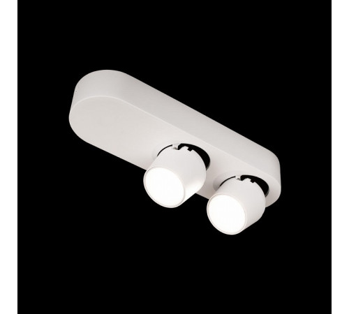 Накладной спот Loft IT Quiet 10320/2 White