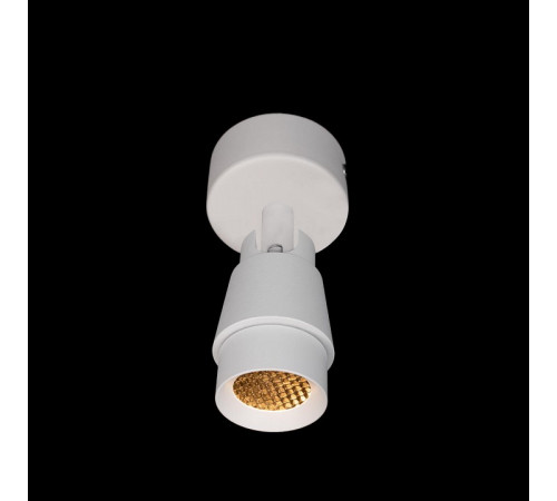 Спот Loft IT Comb 10330/A White