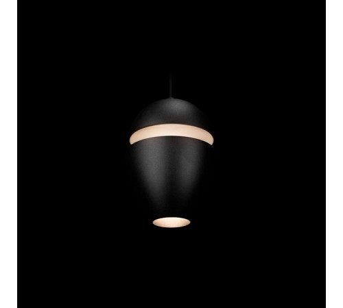 Подвесной светильник Loft IT Viterbo 10336 Black