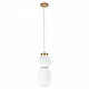 Подвесной светильник Loft IT Duff 10422/A