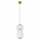 Подвесной светильник Loft IT Duff 10422/B