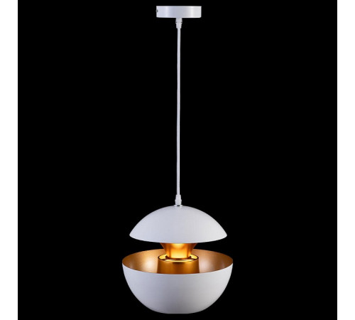 Подвесной светильник Loft IT LOFT2213-A Подвесной светильник Loft IT LOFT2213-A