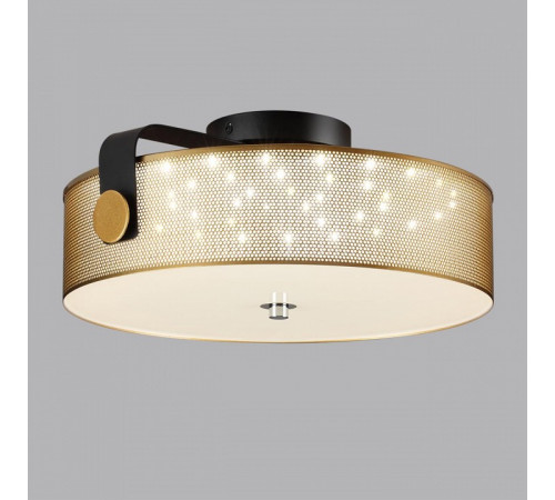 Потолочный светильник Lumion Drumy 6597/40L
