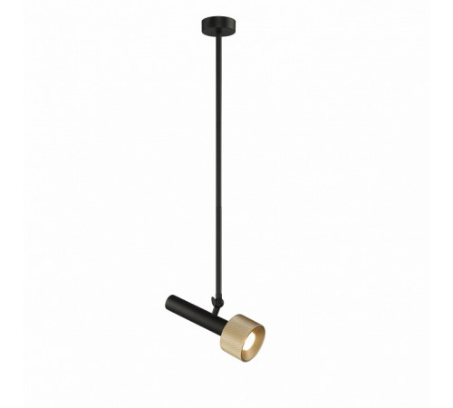 Подвесной светильник iLedex Delta 2361-1 BK+BR