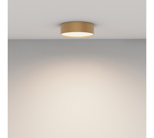 Потолочный светильник Maytoni Technical Ceiling Zon C032CL-24W4K-RD-MG Потолочный светильник Maytoni Technical Ceiling Zon C032CL-24W4K-RD-MG