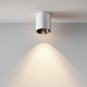 Накладной светильник Maytoni Alfa led C064CL-12W3K-RD-WB