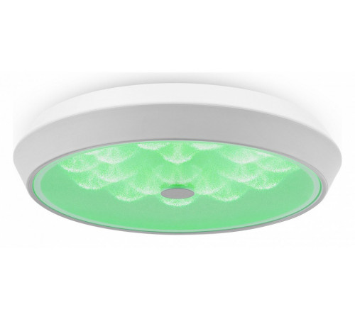 Потолочный светильник Freya Cells FR10012CL-L24W