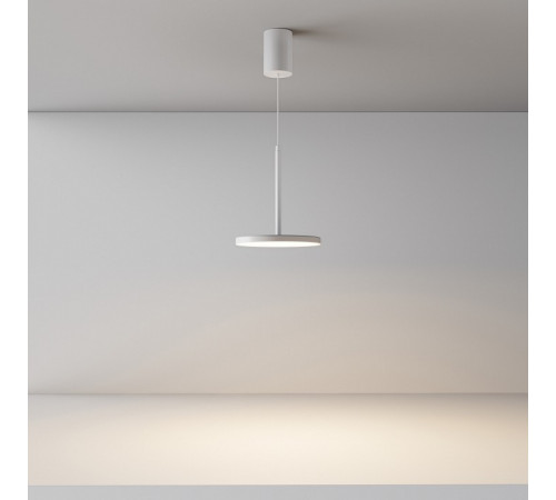 Подвесной светильник Maytoni Plato P076PL-L12W3K-B Подвесной светильник Maytoni Plato P076PL-L12W3K-B