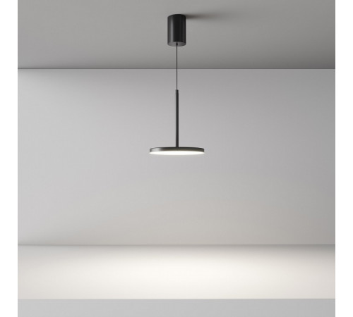 Подвесной светильник Maytoni Plato P076PL-L12W4K-B Подвесной светильник Maytoni Plato P076PL-L12W4K-B