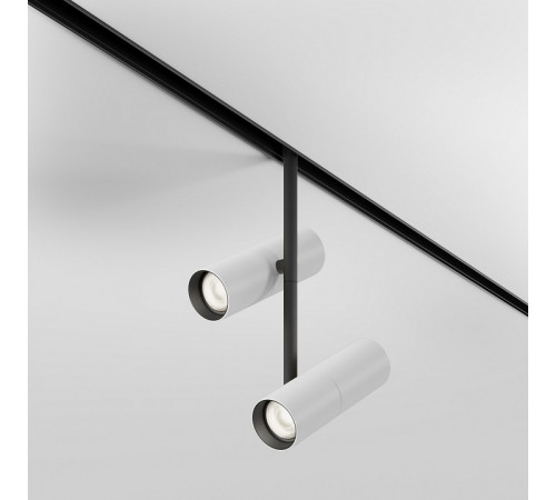 Трековый магнитный светильник Maytoni Elti Duo TR005-4-2X12W-DS-BW