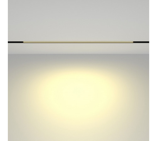 Трековый магнитный светильник Maytoni Basis TR030-2-24W2.7K-B