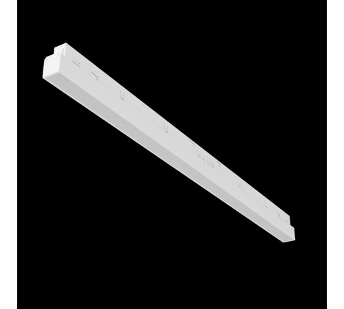 Трековый светодиодный светильник Maytoni Technical Basis TR030-2-24W3K-B