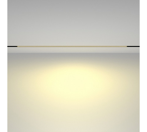 Трековый магнитный светильник Maytoni Basis TR030-2-30W2.7K-B