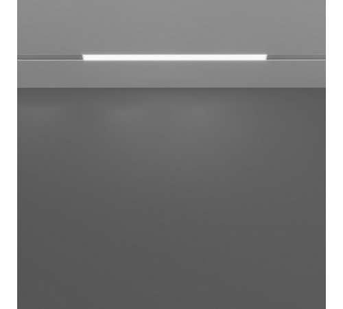 Трековый светодиодный светильник Maytoni Technical Basis TR030-4-12W3K-WW-DS-B
