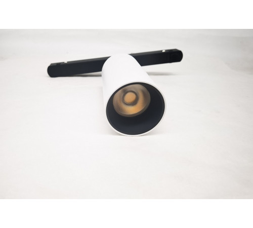 Трековый магнитный светильник Maytoni Focus LED TR032-2-12W3K-S-W